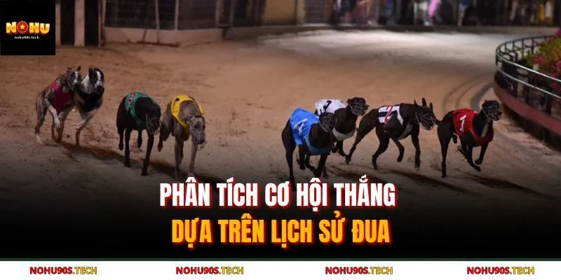 Phân tích cơ hội thắng dựa trên lịch sử đua